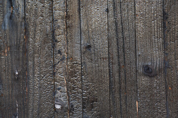 Wall Mural - Burned wood texture background. High resolution image of charcoal burnt black wood wall