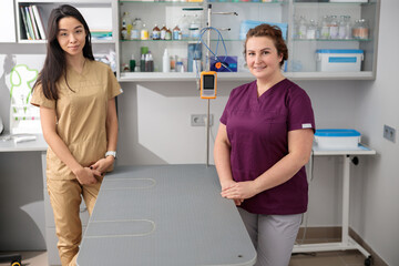 Wall Mural - confident doctors in modern veterinary clinic