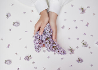 Wall Mural - Spring lily flowers in the hands of a woman lying on a white table. Natural cosmetics for hands, anti-wrinkle hands. Natural beauty of a woman