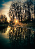 Fototapeta  - Sunrise Between Trees Mirrored in Water