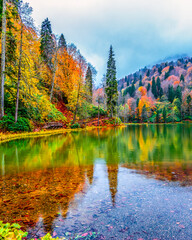 Borcka Karagol ( Black Lake ) in Artvin Province of Turkey