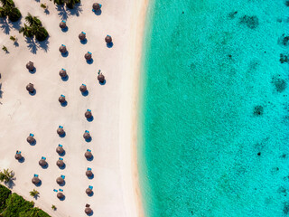 Wall Mural - Aerial top down view to a tropical beach with fine sand and palm trees in the Maldives islands