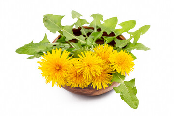 Wall Mural - Yellow dandelion, taraxacum officinale on the white background