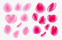 Set Of Realistic Pink Ang Red Rose Petals. Isolated On Background.