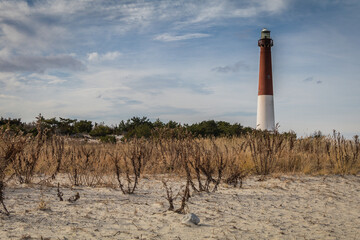 Barnegat Lighthouse, NJ, surrounded by sandy beach and golden wild grasses on a brisk winter day under blue cloudy sky