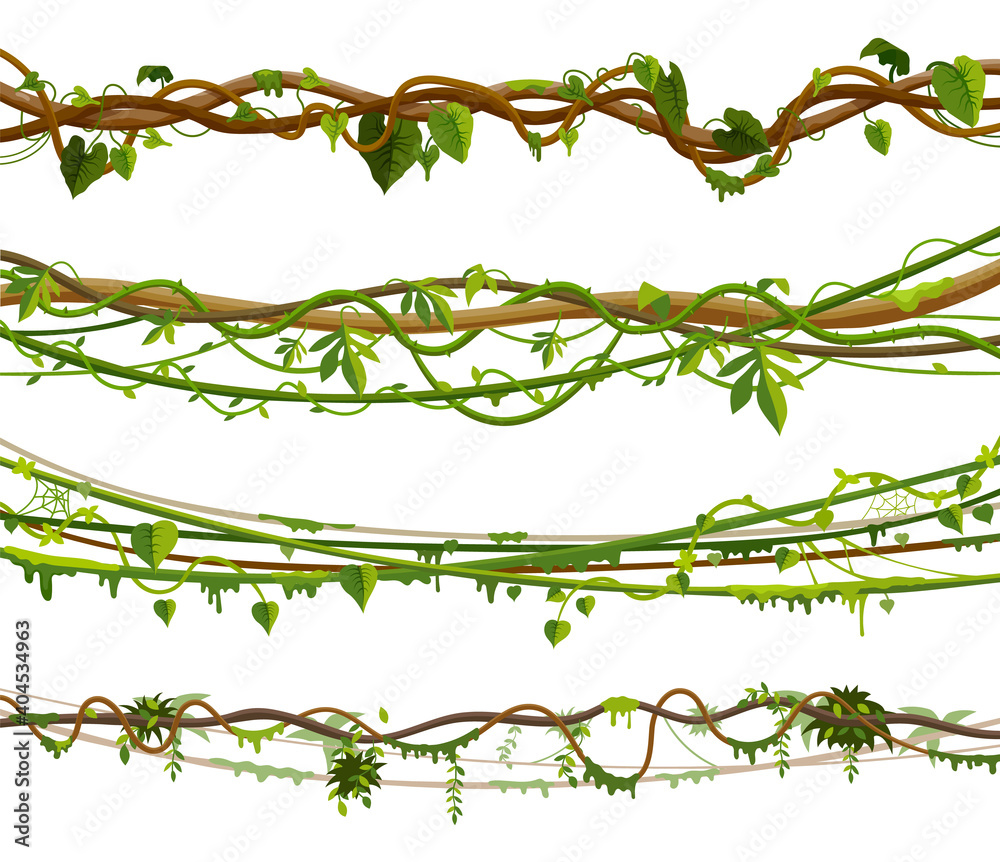 Set of isolated jungle vines, twisted liana plant - obrazy, fototapety, plakaty 