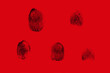 human fingerprints, personality identification concept, fat sweat traces from the crime scene, dna determination, police investigation