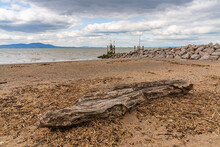 Driftwood On The West Beach In Silloth, Cumbria, England, UK