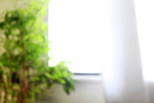 Unfocused Blur View Of Interior Of Office Window With Plant In Cloudy Weather As Background