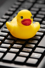 Rubber Ducky Day, Rubber Duck Debugging,  Rubber Duckie Day