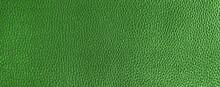 Abstract Green Reptile Skin Background