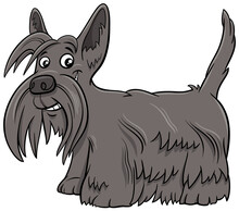 Scottish Terrier Purebred Dog Cartoon Illustration