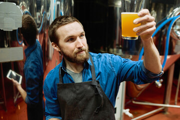 Sticker - Young bearded brewery master in workwear looking at glass of beer in his hand