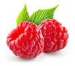 Raspberry isolated. Two red raspberries with green leaf isolate. Raspberry with leaves isolated on white.