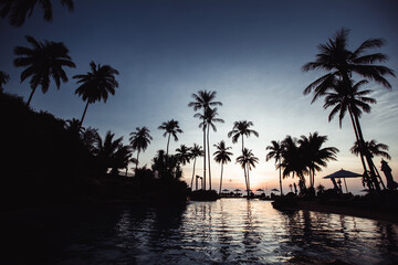 Wall Mural - Beautiful twilight on a tropical beach with silhouettes of palm trees.