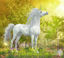 Unicorn Stallion In Meadow - A White Unicorn Stallion Stands In A Meadow Full Of Yellow Flowers, Coneflowers And Mushrooms.