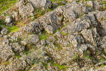 Moss Growing On Rock Boulders