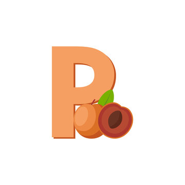 Fruits Alphabet - Letter P for Pluot. Education for Kids Flat Vector Illustration.