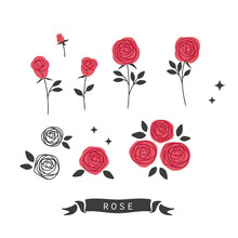 Hand Drawn Style Rose Flower Illustration Set