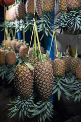  pineapple on the market