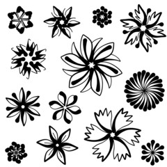 Wall Mural - Vector of flower calligraphic design elements in black lines swirl on white background