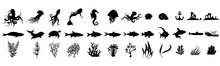 Set Of Fish On A White Background. Large Set Of Underwater Items. Creation Kit.
