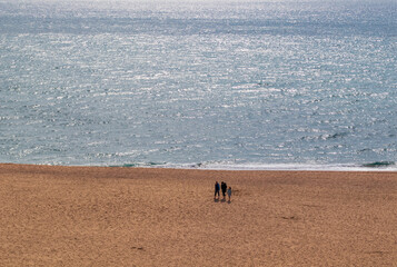 Wall Mural - Family in the distance walking on the lonely beach with the blue water behind