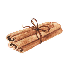 Cinnamon sticks. Watercolor of spices. Dried spices for baking and drinks. Menu drawing of food for cafes and restaurants. Hand drawn tasty food illustration. Sweet food on a white background.