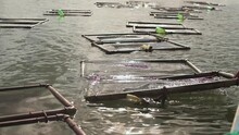 Marine Oysters And Seafood Farm