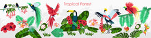 Tropical Forest Horizontal Banner. Summer Poster, Background With Beautiful Exotic Birds And Plants. Parrot, Toucan, Flamingo, Crane, Green Palm Leaves And Flowers Flat Vector Illustration