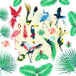 Tropical birds and plants. Exotic jungle background with parrot, toucan, flamingo, crane, hummingbird, palm leaves and exotic flowers flat vector illustration