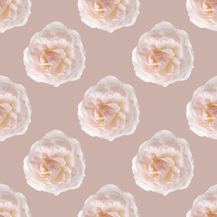 Wall Mural - Pink rose on beige background. Seamless flower pattern.