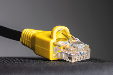 RJ45 network plug close-up on a gray background. Ethernet plug 100 mb