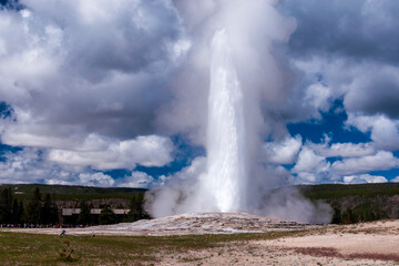 Wall Mural - old faithful