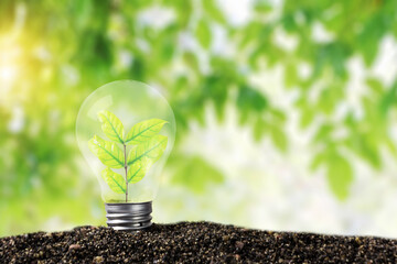 Light bulb glowing in soil / idea or energy and environment concept