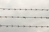 Fototapeta Miasto - section of barbed wire against the gray sky