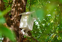 A Birdhouse In The Foliage On A Tree. Fabulous Bird House Close-up.