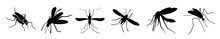 Set Of Black Mosquitoes On White Background, Banner Design. Illustration