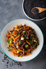 Wall Mural - Black Lentil Salad with carrot, onion and parsley with bowl of black lentil on grey background.