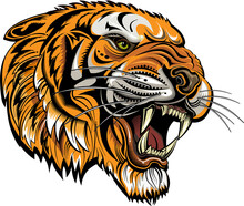 Tigers Face. Saber-toothed Tiger Tattoo