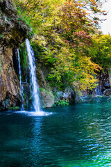 Poster - Plitvice Lakes Park in Croatia