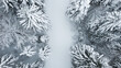 Schwarzwald Wald von oben mit der Drohne