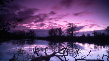 tree in purple lake