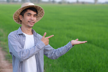 Wall Mural - Asian farmer man standing and raise up hand point to side at green rice farm