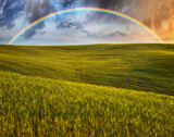 Fototapeta Tęcza - Scenic view of rainbow over green field