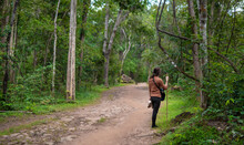 Women Trekking In Forest Tree At Phu Kradueng Mountain In Loei Thailand