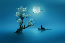 Fishing Under Moonlight