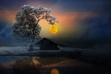 Wall Mural - little house under the tree in the night