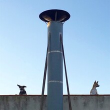 Gray Metal Pipe Between Two Dogs