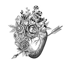 Vintage Illustration Of Heart Pierced By An Arrow In Engraving Style With Retro Flowers. Black And White Vector Drawing.
